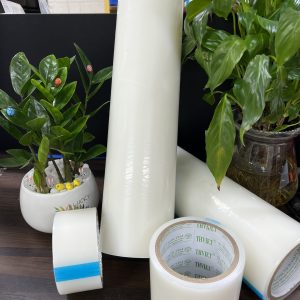 Màng bảo vệ tĩnh điện (Electrostatic protective film )